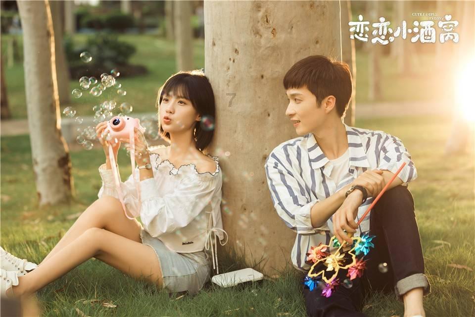 可爱的小考拉