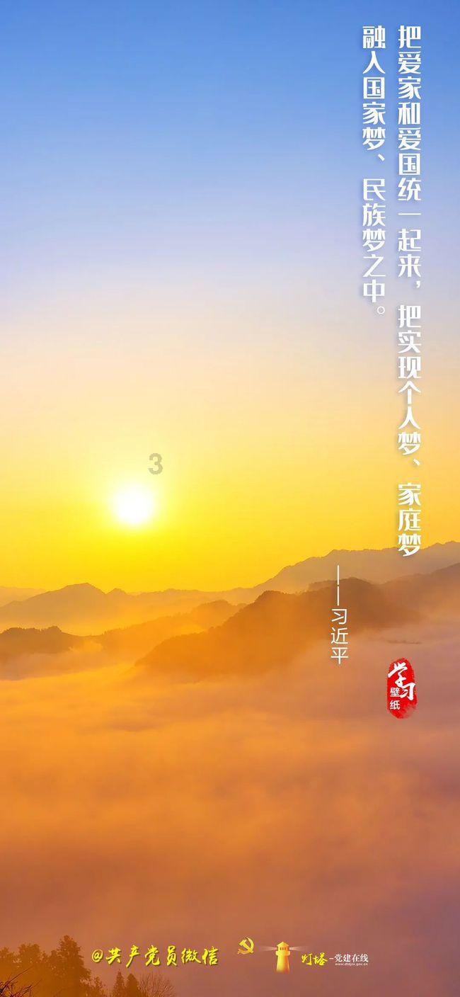 拯救枯树