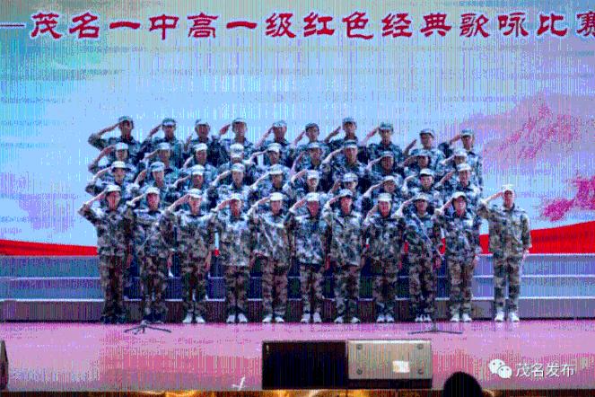 救援男孩与狗