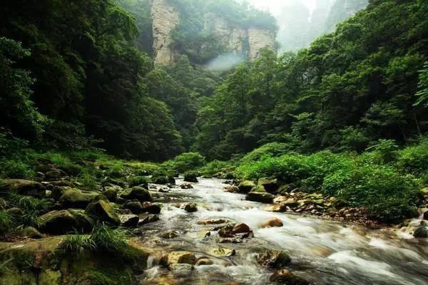 成年和尚鹦鹉还能不能喝鹦鹉奶粉？游戏画面